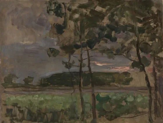 Field with Young Trees in the Foreground