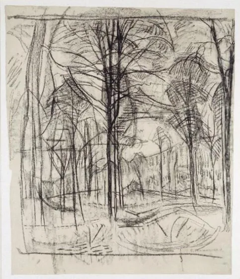 Forest: study for the trees