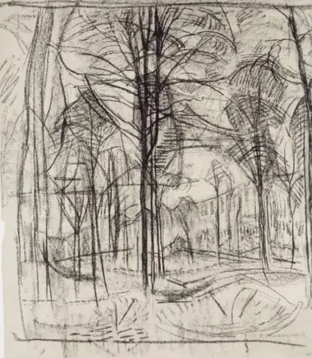 Forest: study for the trees