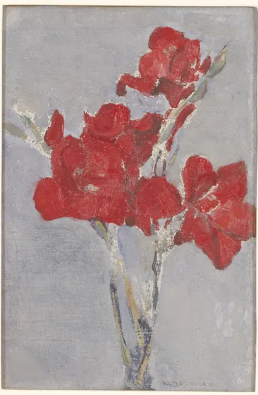 Glaïeuls rouges