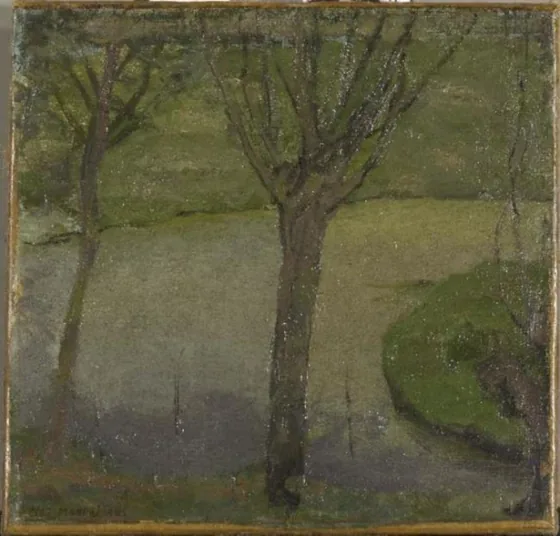 Irrigation ditch with two willows