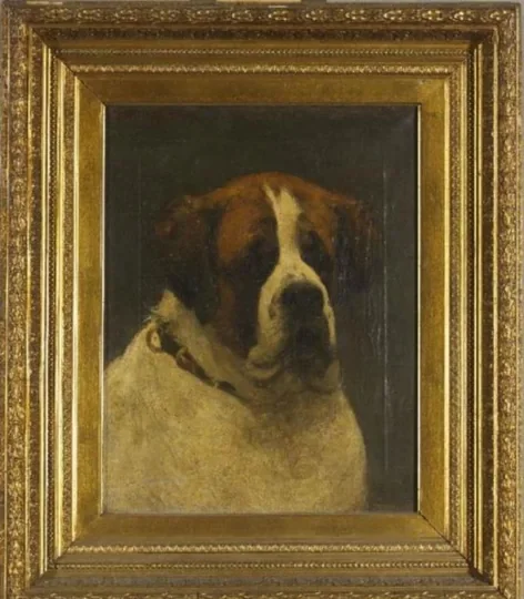 Isar Harlemia: a Saint Bernard