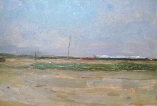 Paisaje de pólder con un tren en el horizonte