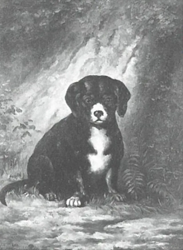 子犬