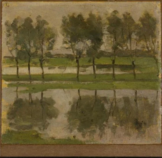 Row of eight young willows reflected in the water