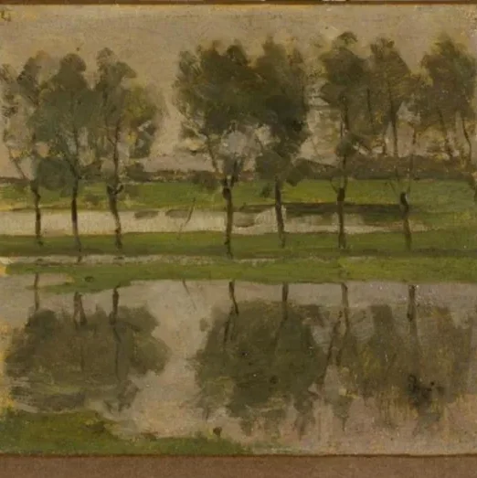 Row of eight young willows reflected in the water