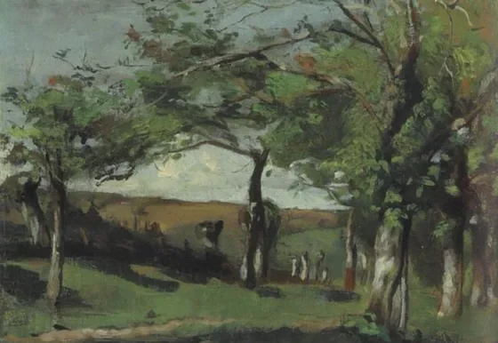 Scattered trees on sloping land