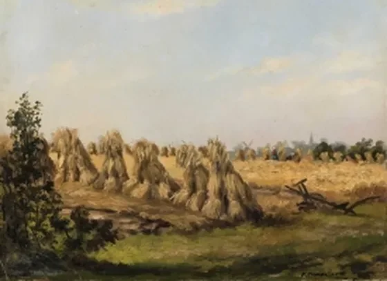 Sheaves of rye with plow
