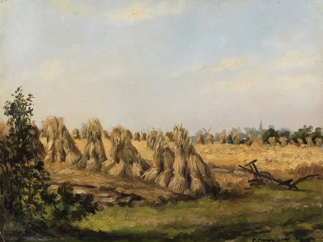Gavillas de centeno con arado