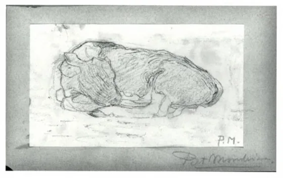 Sketch of a calf lying down