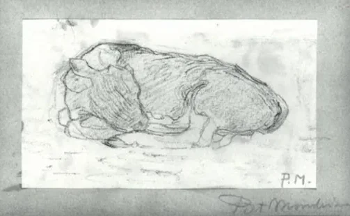 Sketch of a calf lying down