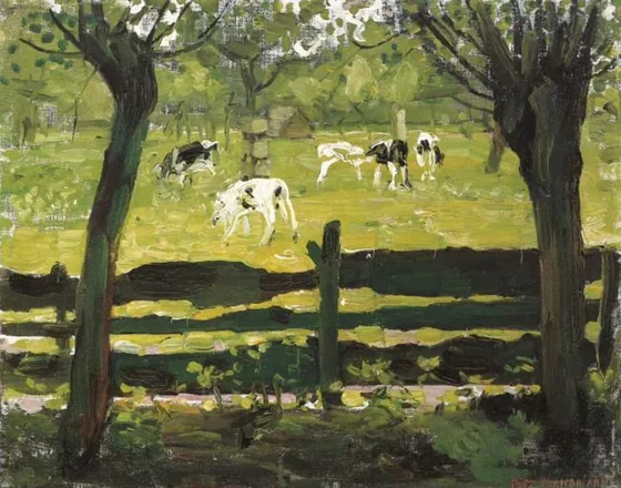 The white bull calf