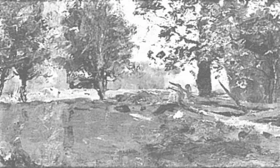 Trees and cows in a field