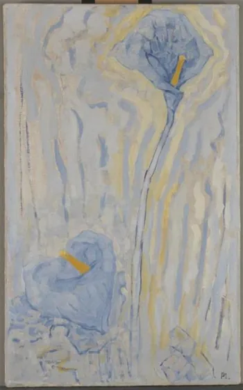 Two arum lilies