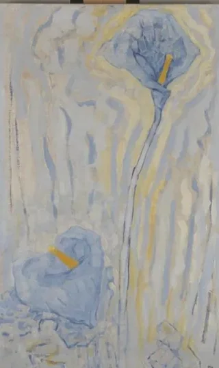 Two arum lilies