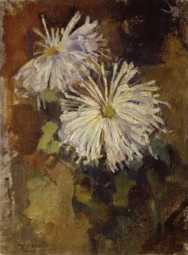 Dos flores de crisantemo