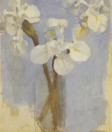 White irises against a light blue background II