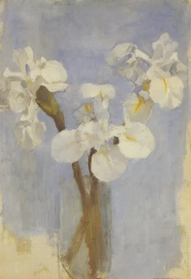 Iris blancos sobre fondo azul claro II