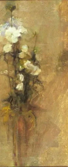 White phloxes