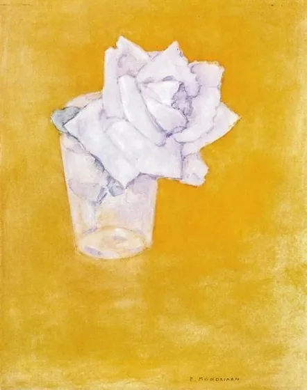 White Rose in a Glass