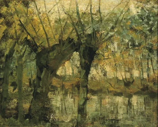 Willow Grove: Impression of Light and Shadow