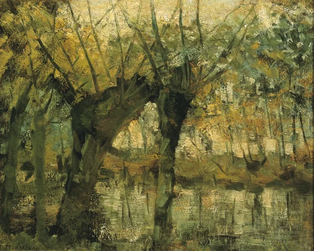 柳林：光と影の印象