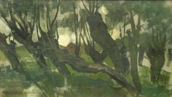 Willow grove, trunks leaning left II