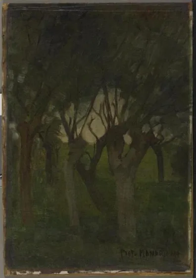 Willow grove with flattened images