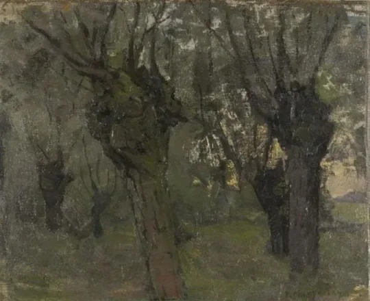 Willow grove with two prominent trees