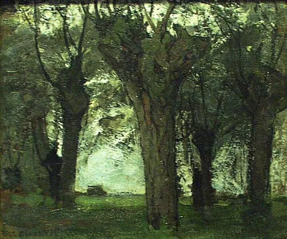 Willow trees on the Gein