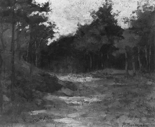 Wood near Driebergen