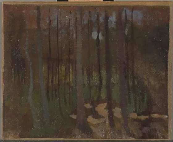 Woods