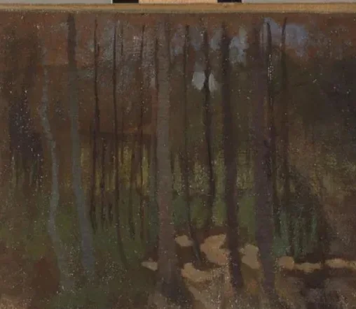 Woods