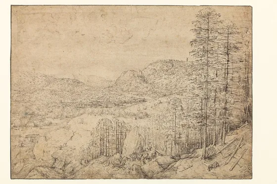 Mountain Landscape with a Mule Caravan