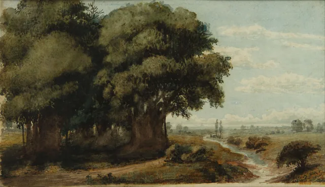 Capricho (Olivos, 13 de novembro de 1858), Prilidiano Pueyrredón