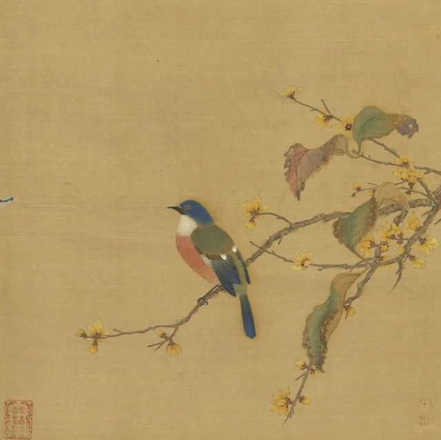 Flores y aves: hojas púrpura sobre un quimonanto en flor, Qiu Ying