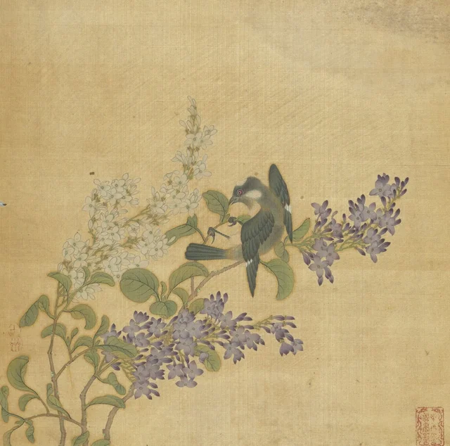 花鳥冊 紫薇白頭翁
