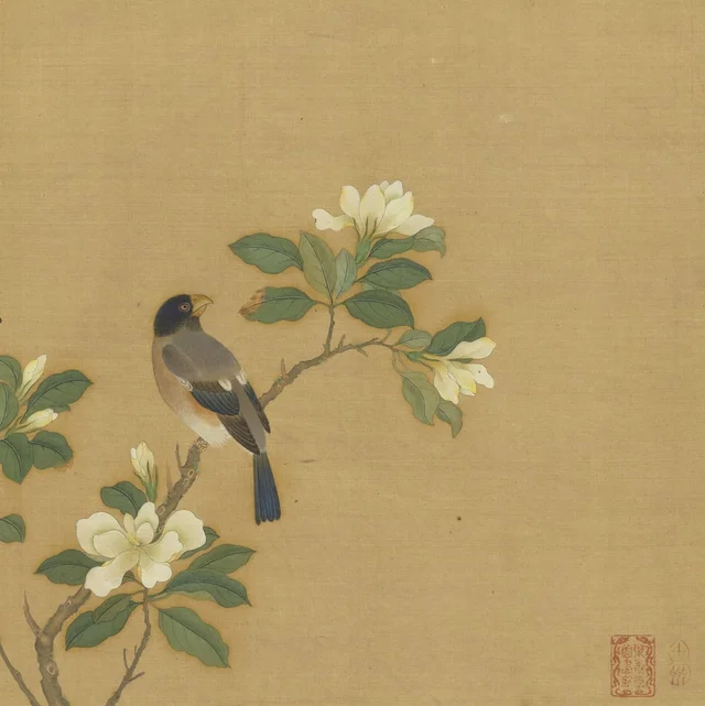 花鳥冊 梔枝桑鳲, 仇英