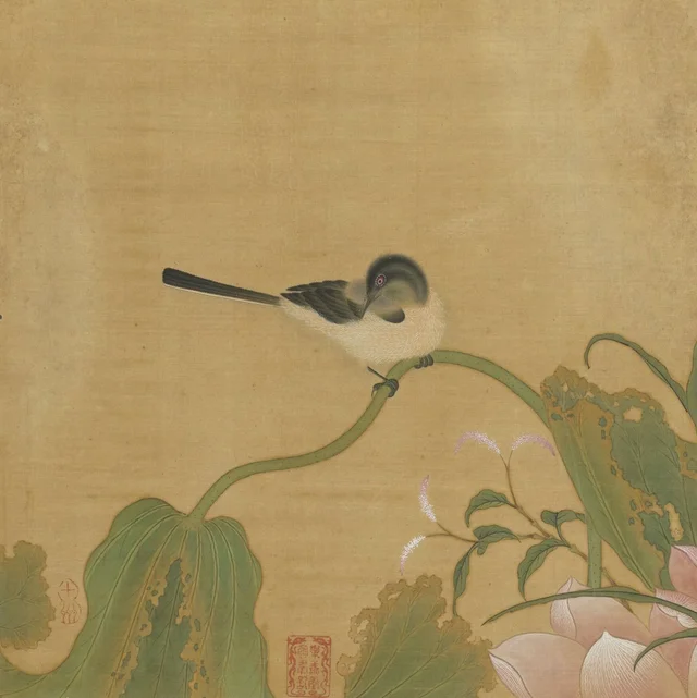 花鳥冊 鶺鴒荷花, 仇英