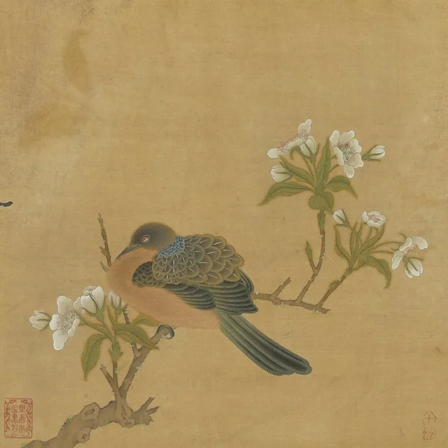 花鳥冊 梨花斑鳩