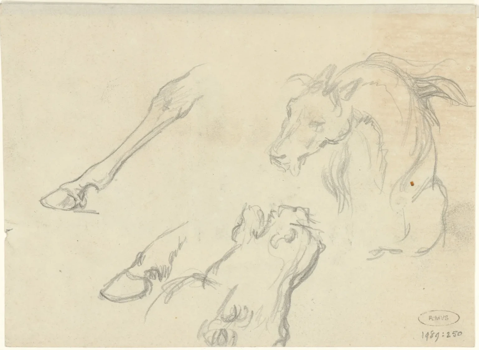 Études de têtes et de pattes d'animaux, Raden Saleh