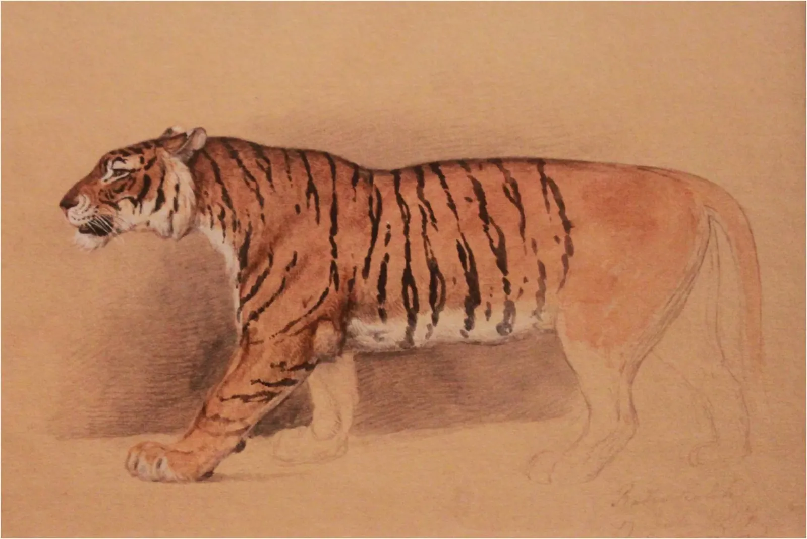 Étude de tigre marchant, Raden Saleh