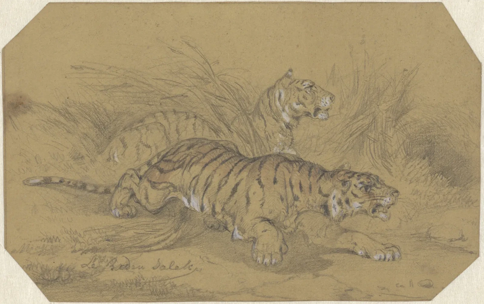 Deux tigres rampant dans les herbes, Raden Saleh