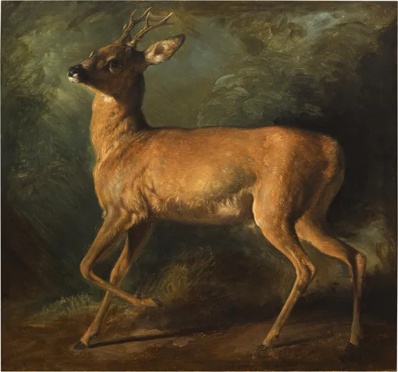 A Roebuck — Raden Saleh