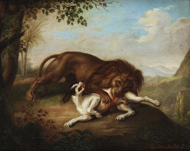 Un león desgarra a un galgo blanco