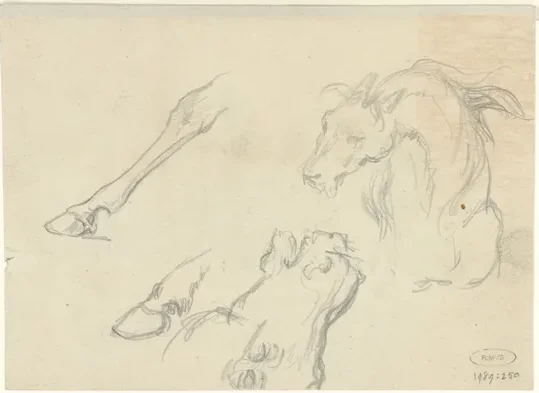 Studies van dierenkoppen en poten — Raden Saleh