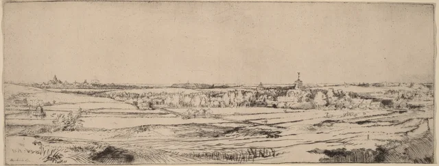 Landscape with a View toward Haarlem (The Goldweigher's Field)