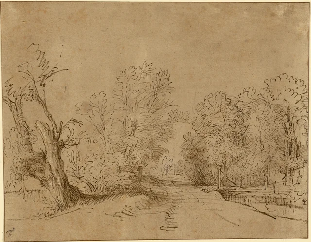 A Wooded Road