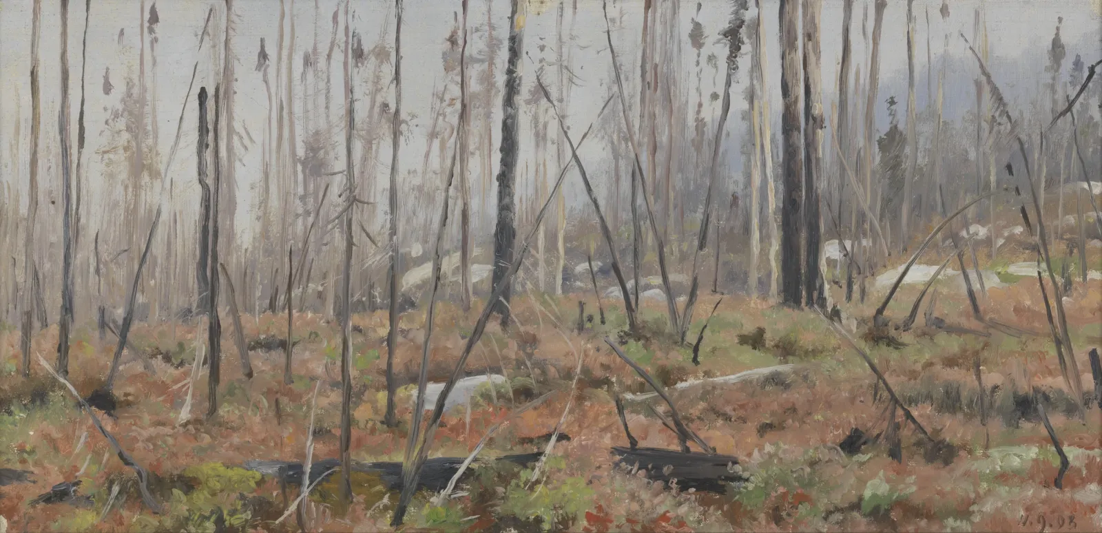 Forêt morte au Canada, Richard Friese