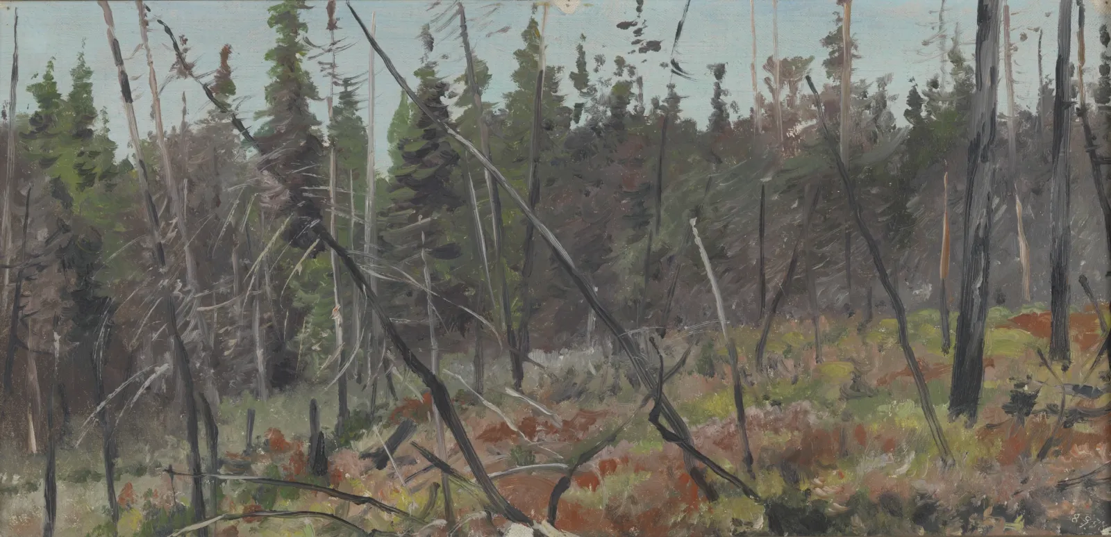 Lisière de forêt au Canada, Richard Friese